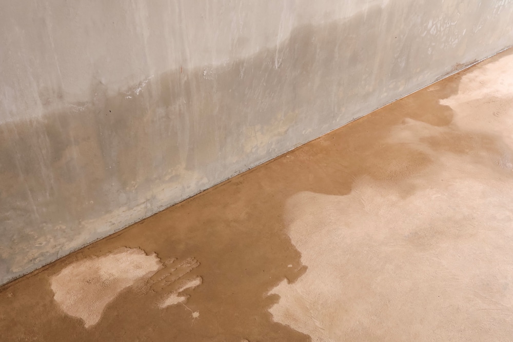 Why Quick Response Matters: 24-Hour Water Damage Restoration in MN